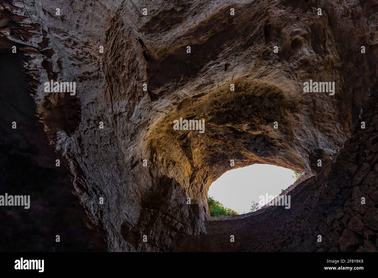 Bats cave mexico Banque de photographies et d’images à haute résolution