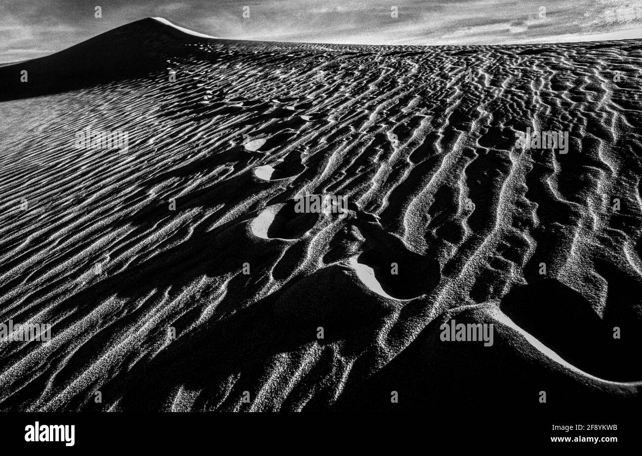 Photographie en noir et blanc des empreintes de pas dans les dunes du désert, Californie, Etats-Unis Banque D'Images