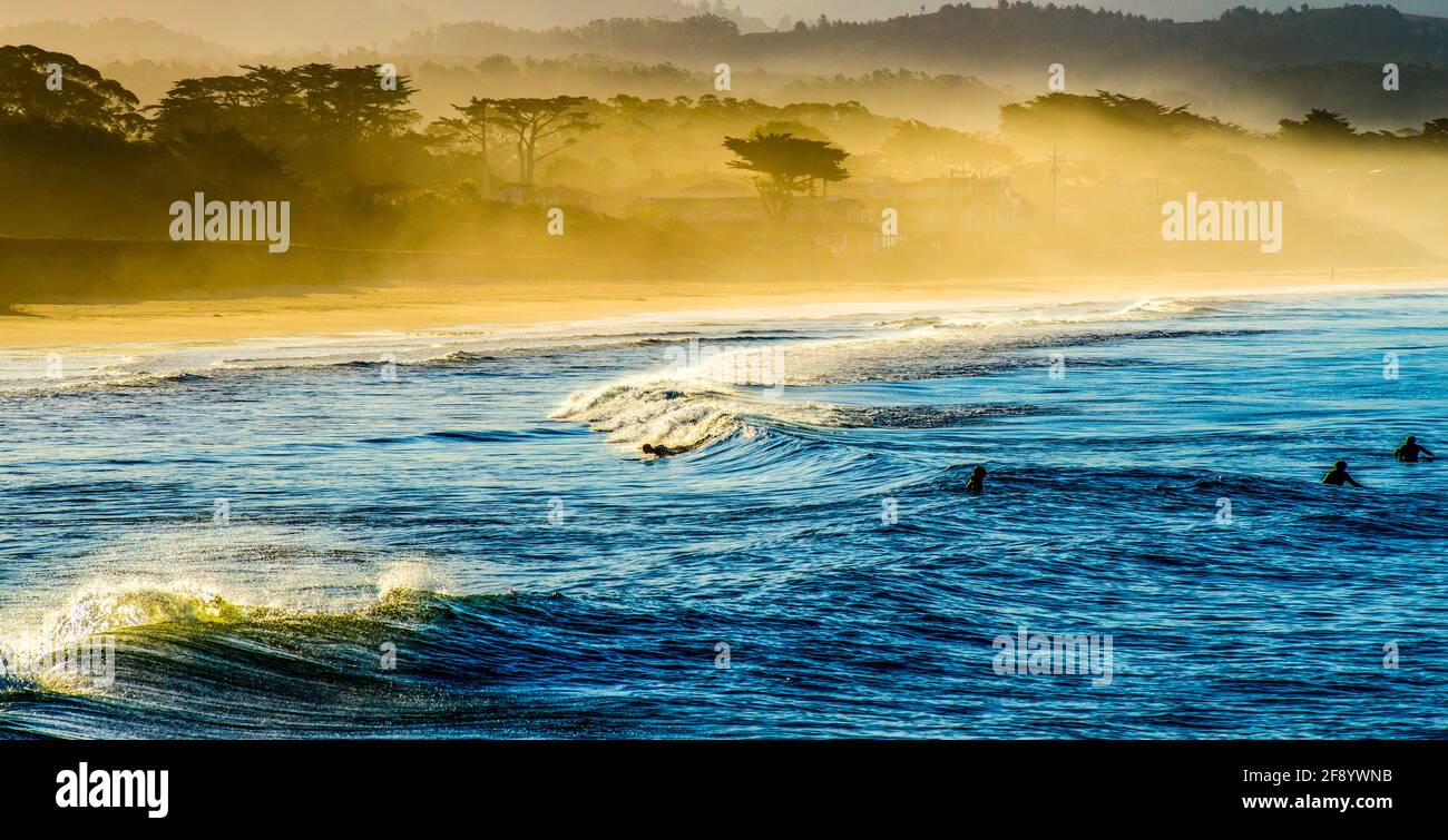 Plage dans le brouillard au lever du soleil, Vallejo Beach, Half Moon Bay, Californie, États-Unis Banque D'Images