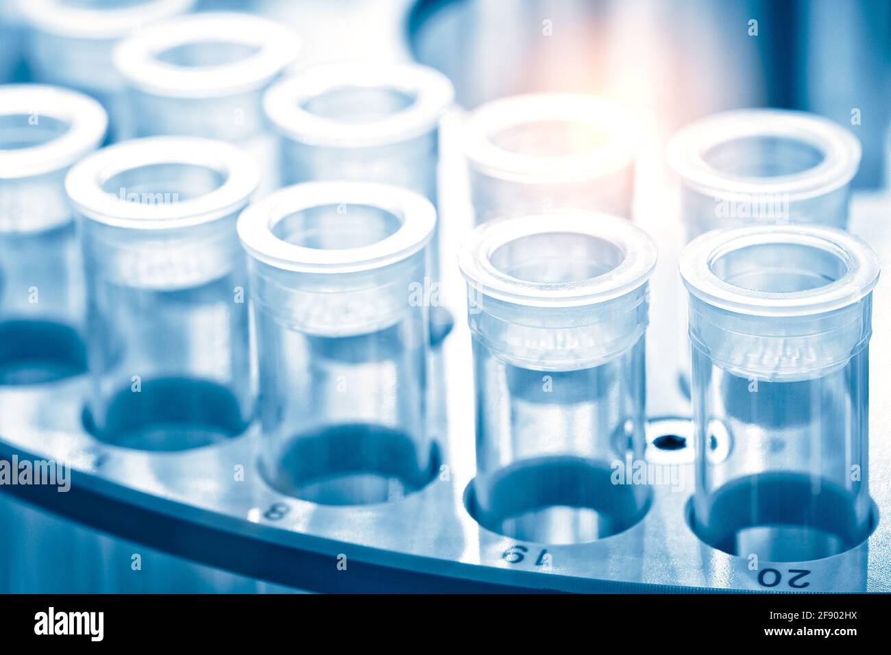 Tubes à essai pour la recherche scientifique et médicale, test pcr du virus corona Covid 19 Banque D'Images