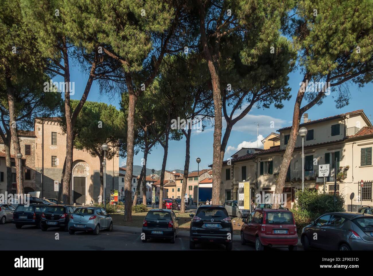 PIN en pierre méditerranéen ou parasols, Pistoia, Toscane, ItaliModern Banque D'Images