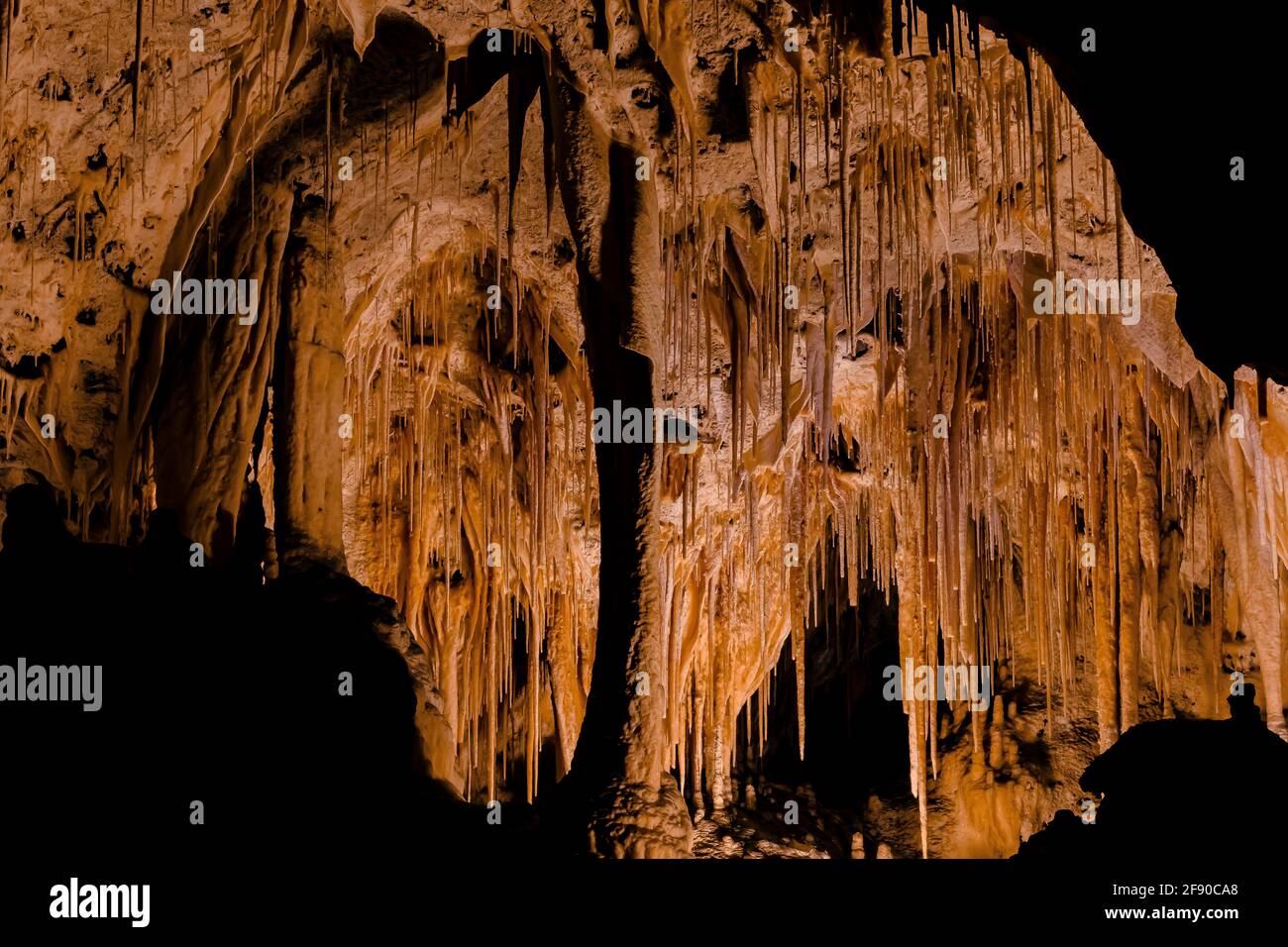 Formations de paille de soude à Painted Grotto le long de Big Room Trail dans un profond sous-sol dans le parc national de Carlsbad Caverns, Nouveau-Mexique, États-Unis Banque D'Images