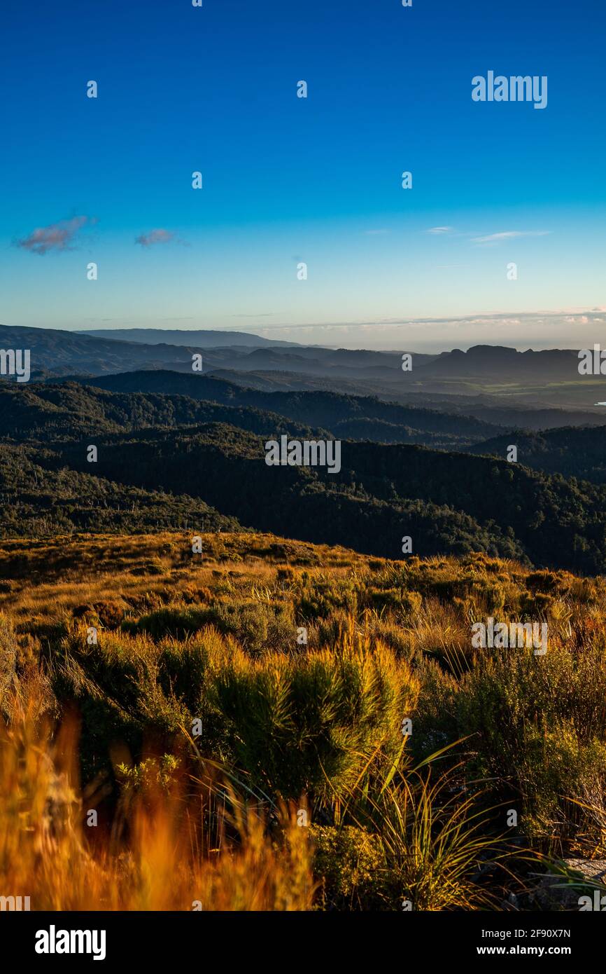 Coucher de soleil au-dessus des collines de la Nouvelle-zélande Banque D'Images