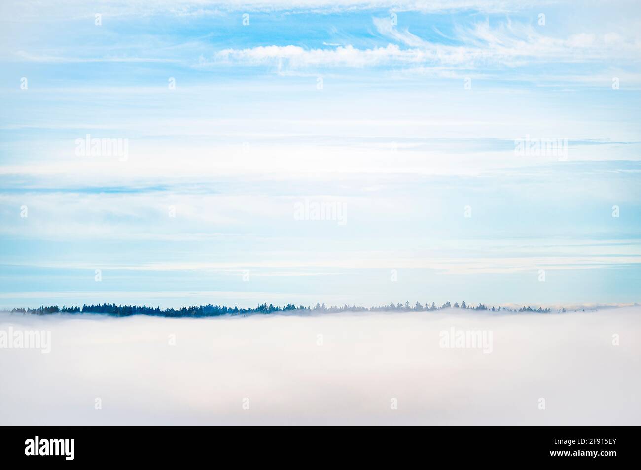 Journée paisible avec des nuages qui creusont la vallée et seulement des arbres au-dessus. Banque D'Images