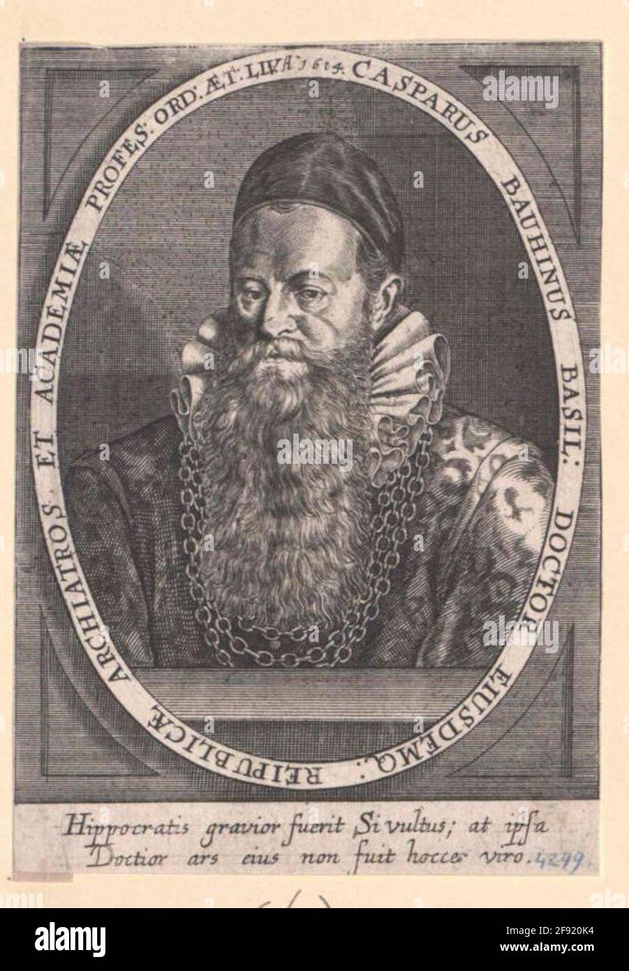 Bauhin, Kaspar . Banque D'Images