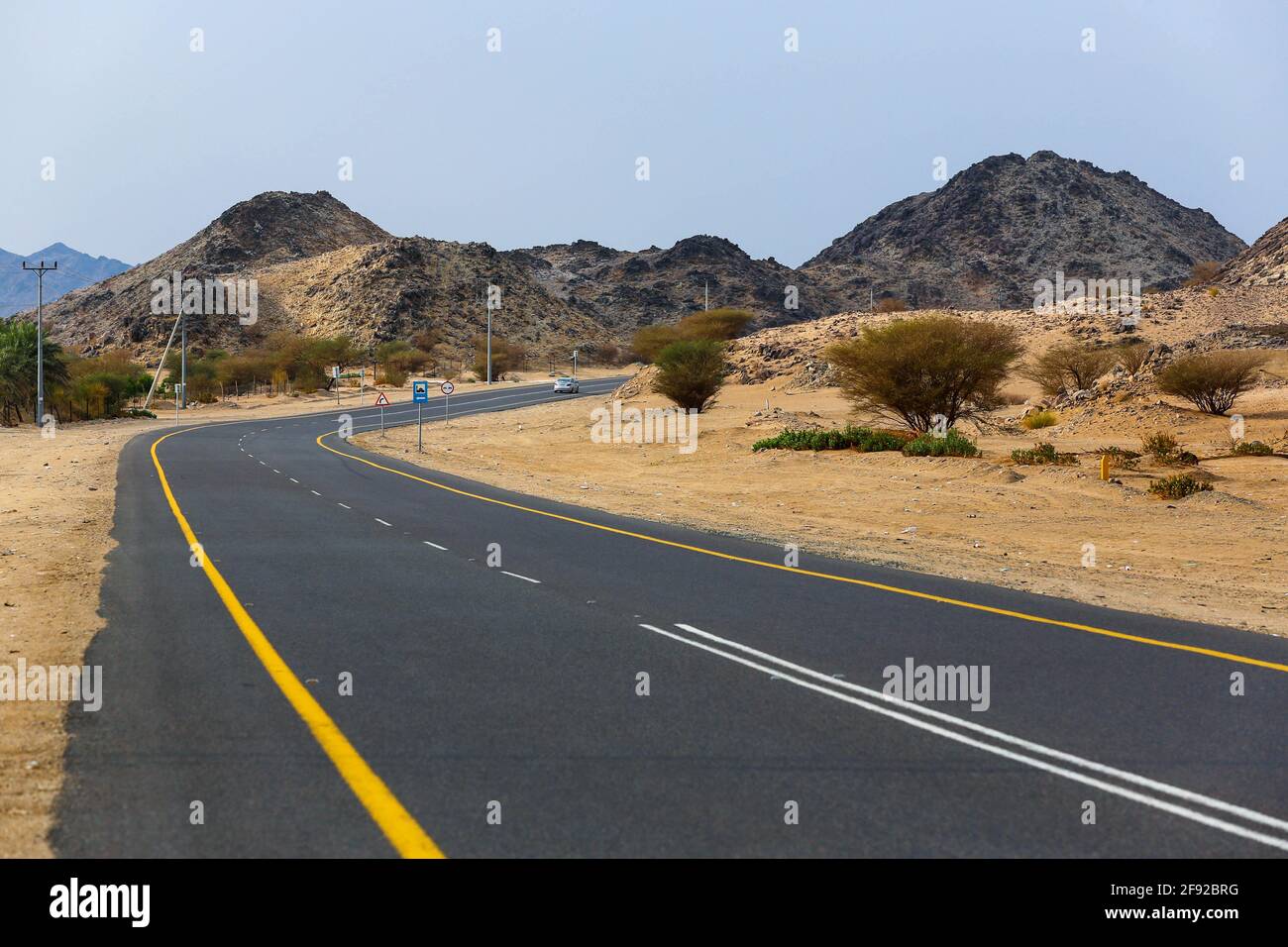 route du désert saoudien Banque D'Images