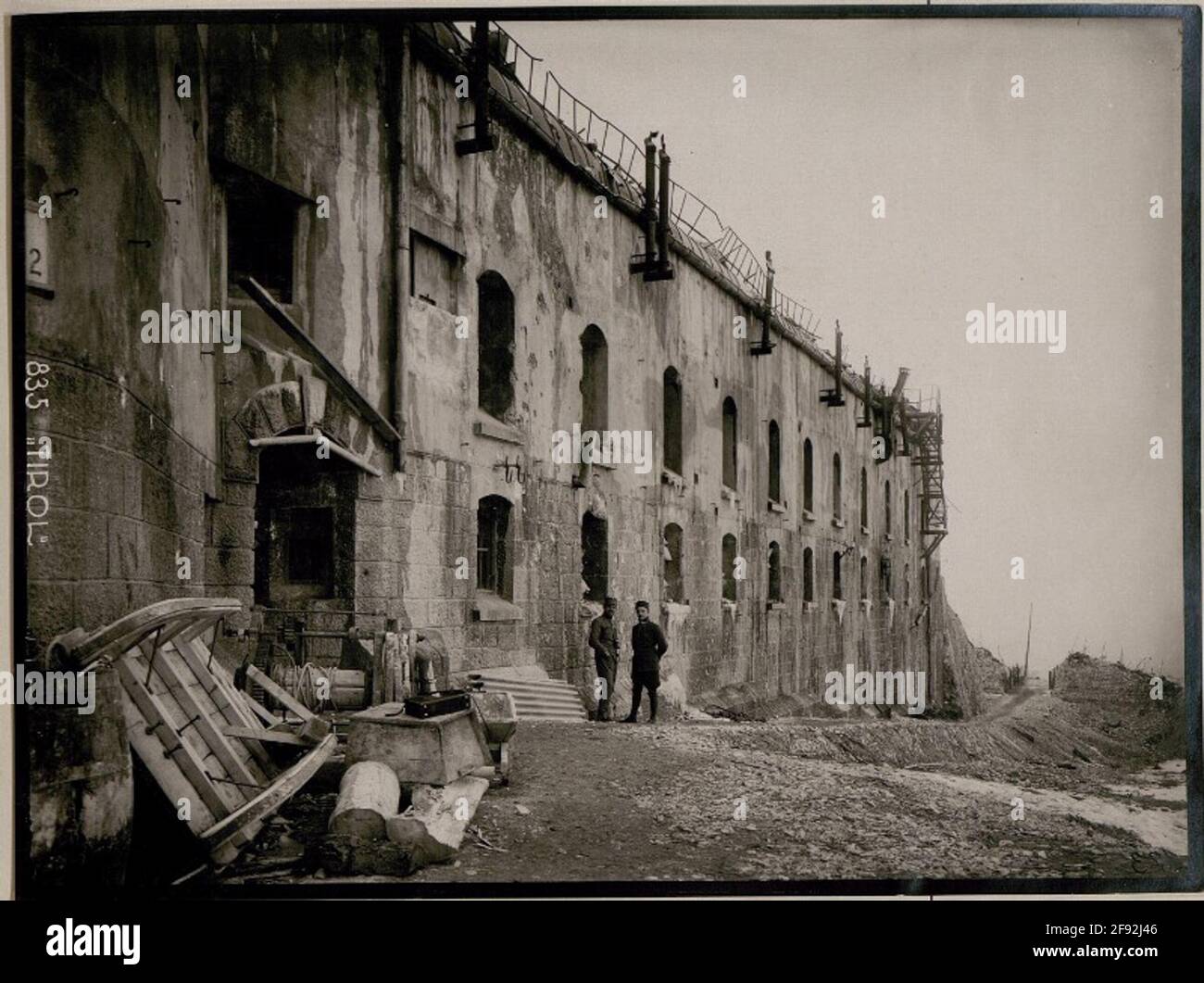 Plante Gschwend. Banque D'Images