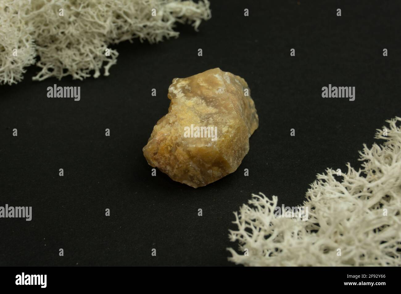 Chalcédoine de Madagascar. Pierre minérale naturelle sur fond noir entouré de mousse. Minéralogie, géologie, magie, pierres semi-précieuses et Banque D'Images