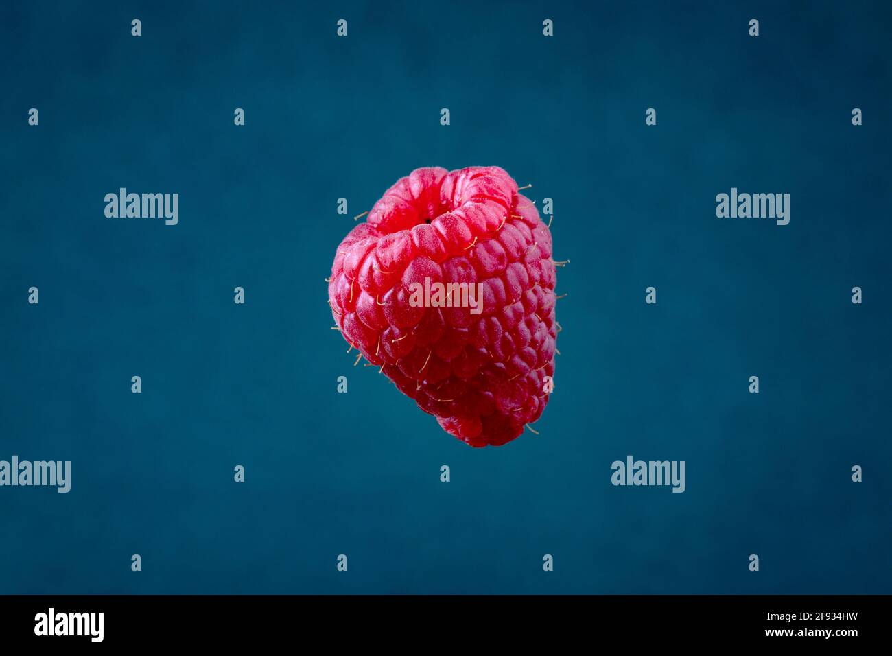 Macro photo de framboise flottant sur un fond bleuâtre et gros plan Banque D'Images