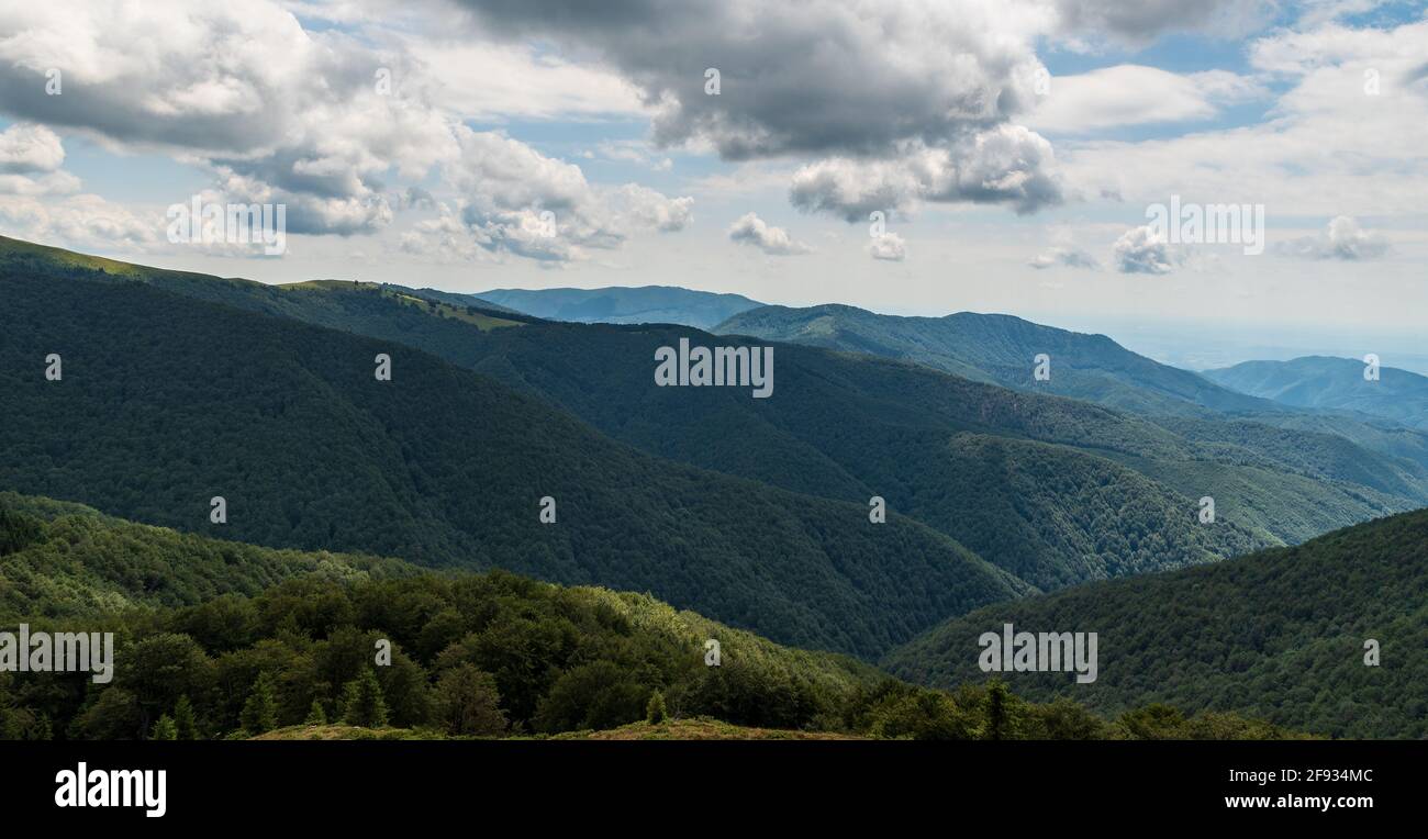 Montagnes carpathes sauvages en Roumanie couvertes de forêt profonde avec Quelques prairies - vue pendant le trekking sur les montagnes Muntii Valcan Banque D'Images