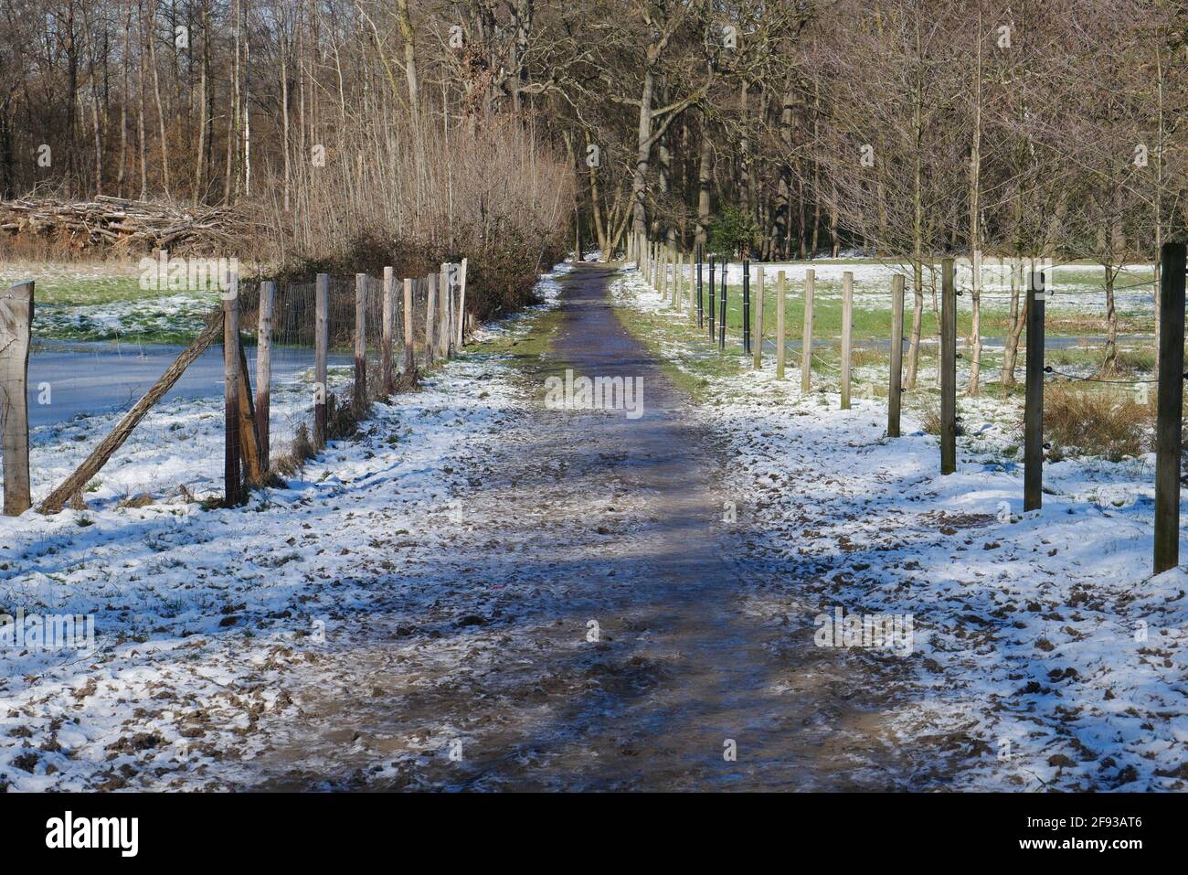 Sentier de randonnée dans la forêt à travers la neige et le passé clôtures pour chevaux pâturage Banque D'Images