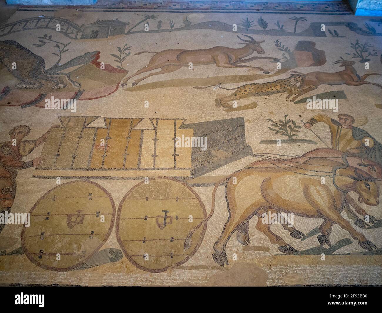 Chariot de boeuf transportant des animaux en cage, mosaïque de détail de l'Ambulatoire de la Grande chasse, Villa Romana del Casale Banque D'Images