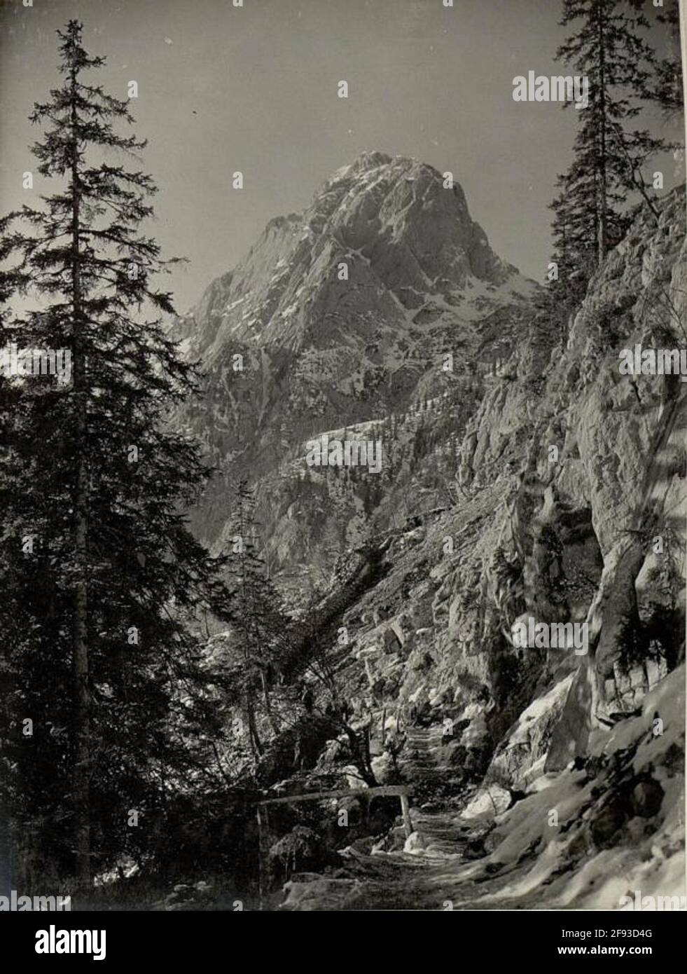 Maleterie, infanterie début et distribution du bataillon d'infanterie de la tempête de pays Nr.153. Contexte Rosskofl. . Banque D'Images