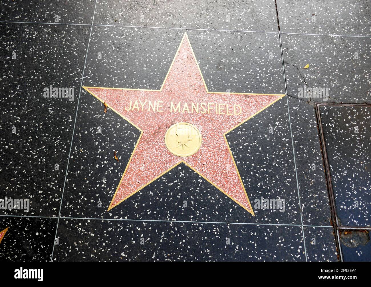 Hollywood, Californie, États-Unis 14 avril 2021 UNE vue générale de l'atmosphère de l'actrice Jayne Mansfield's Star sur le Hollywood Walk of Fame le 14 avril 2021 à Hollywood, Californie, États-Unis. Photo par Barry King/Alay stock photo Banque D'Images