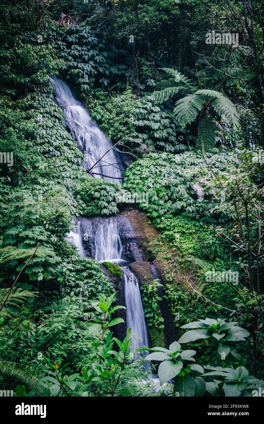 Les belles cascades de Bali Banque D'Images