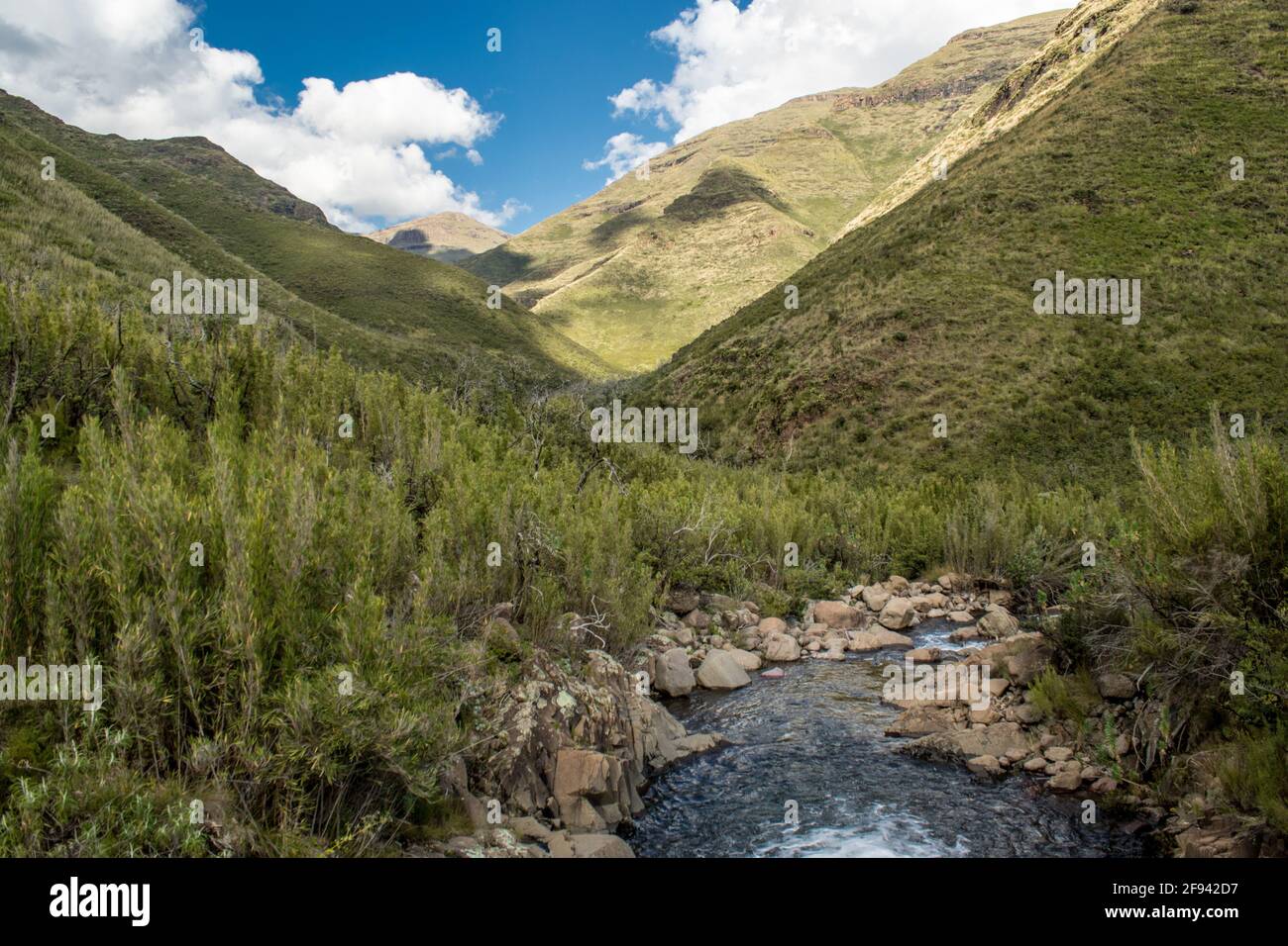 Un petit ruisseau serpentant à travers le paysage montagneux du Lesotho Banque D'Images