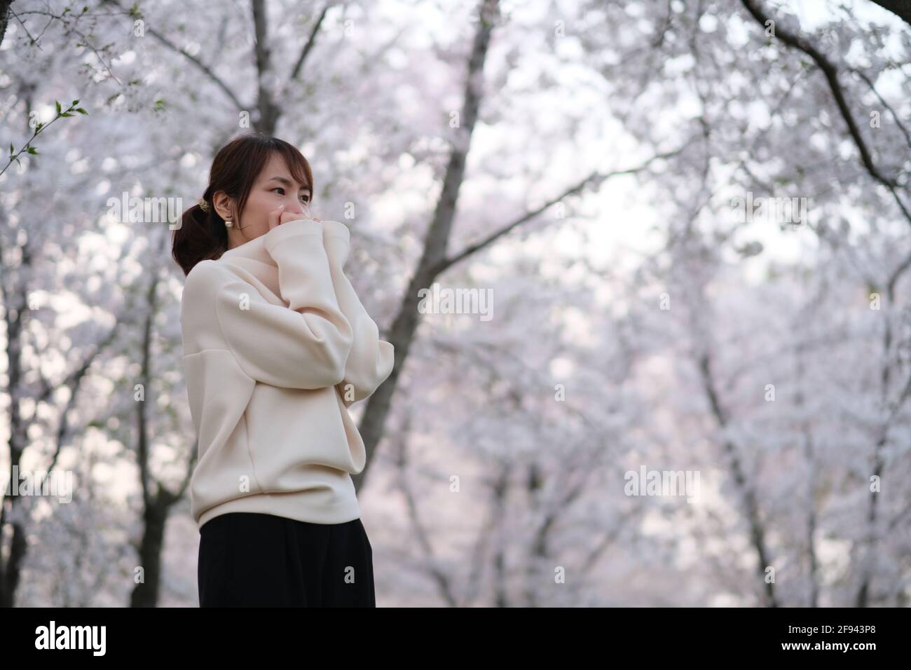 Photo d'une jeune femme asiatique à la mode sous un arbre floral sakura blanc Banque D'Images