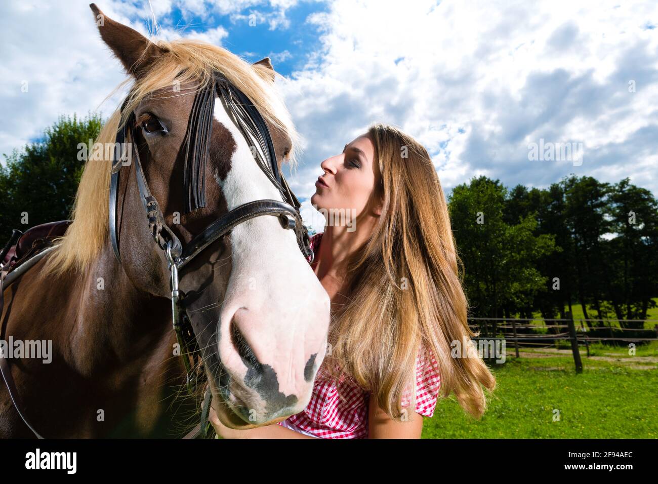 Femme baiser par un cheval Banque de photographies et d’images à haute résolution Alamy Femme baiser par un cheval Banque de photographies et d’images à haute résolution Alamy