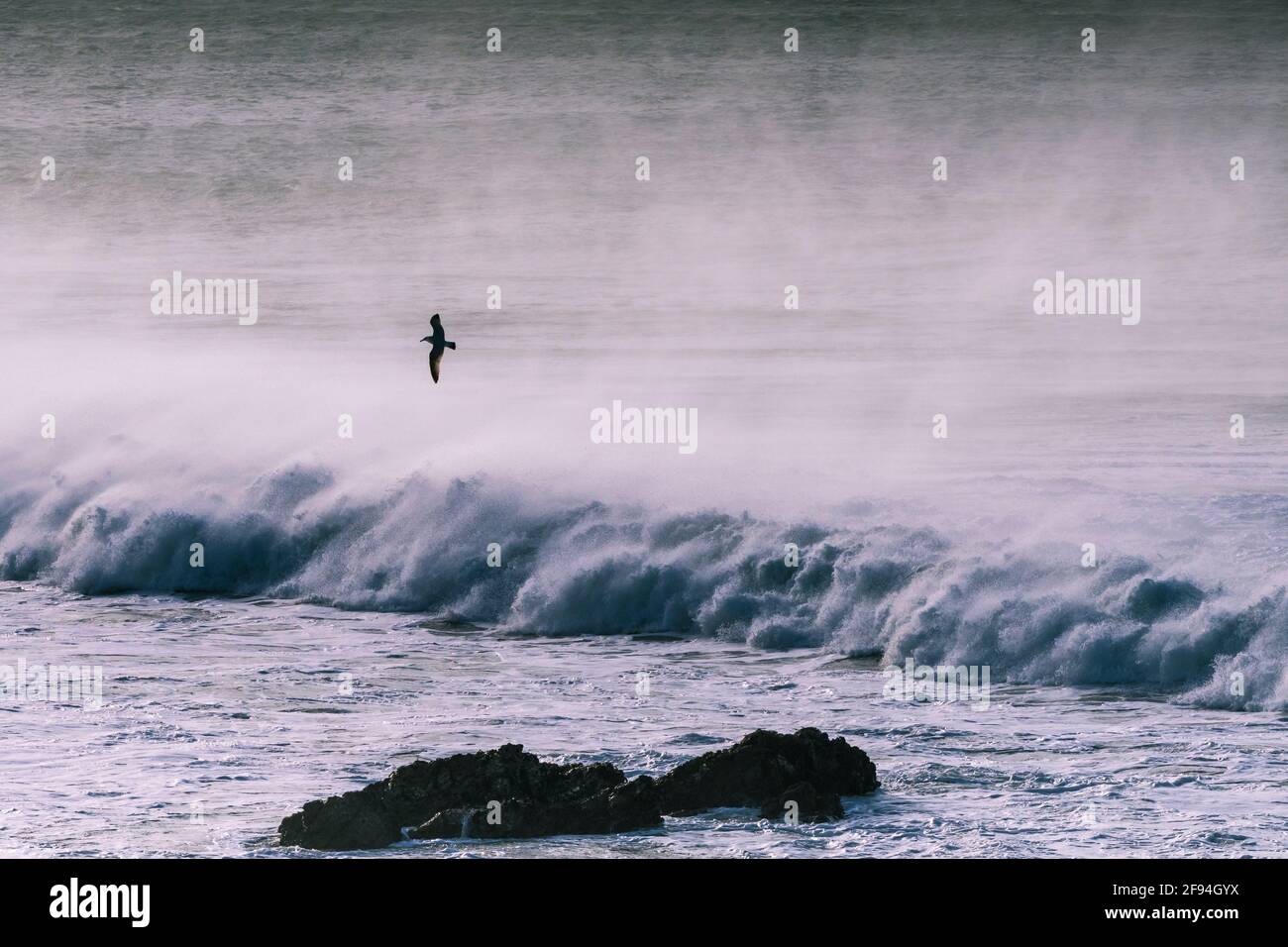 Grandes vagues et vents violents à la baie Fistral, à Newquay, dans les Cornouailles. Banque D'Images