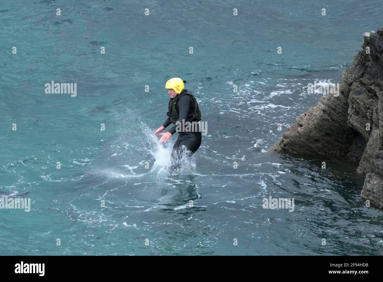Un holographe de codirection sautant dans la mer depuis les rochers lors d'un voyage de codirection autour de Towan Head à Newquay, dans les Cornouailles. Banque D'Images