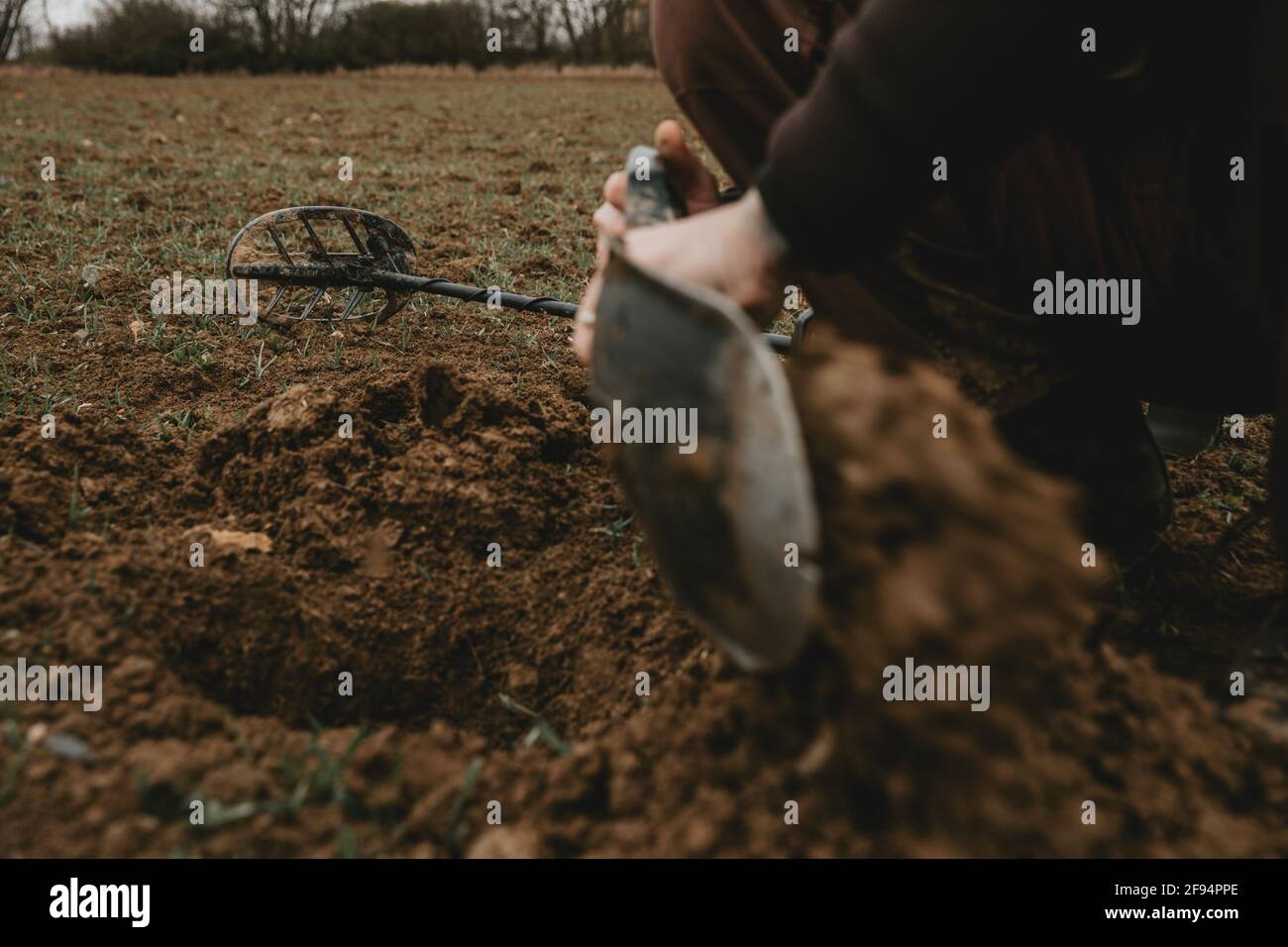 Détail des mains de l'homme avec une pelle dans celle-ci, lors de l'excavation d'un trou dans le sol après le signal positif du détecteur de métal Banque D'Images