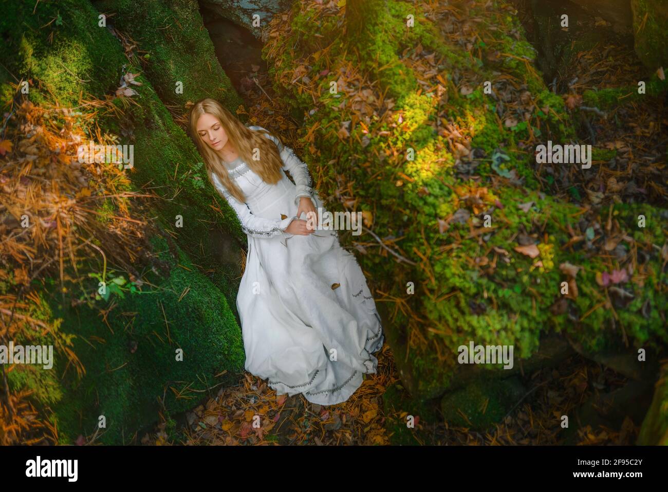 Belle jeune femme dans une robe blanche au milieu d'une forêt Banque D'Images