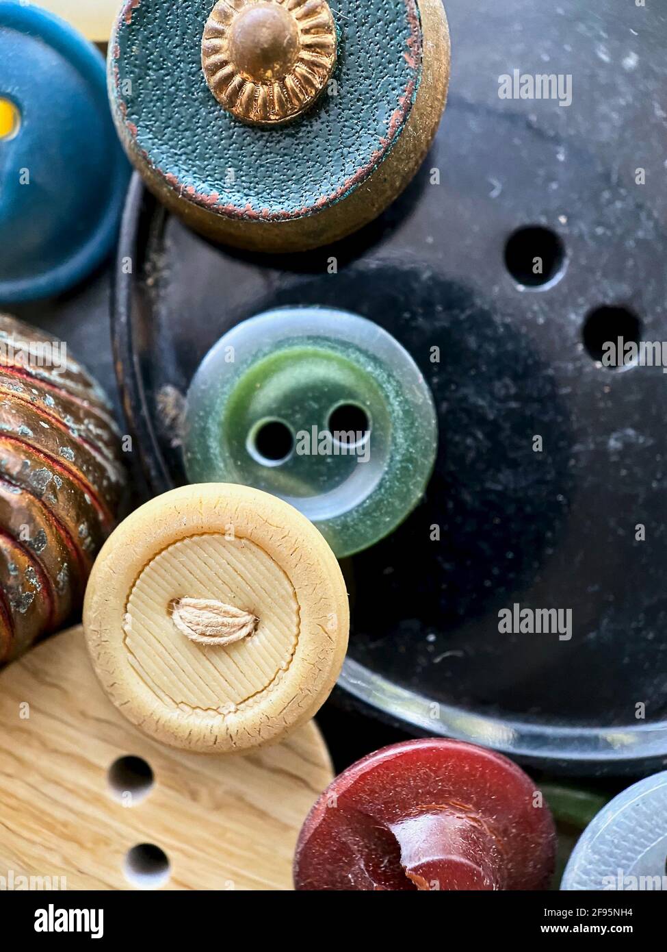 Lot De 10 Boutons Anciens En Lucite - Couleur écru - 18mm Et 20mm - Vintage