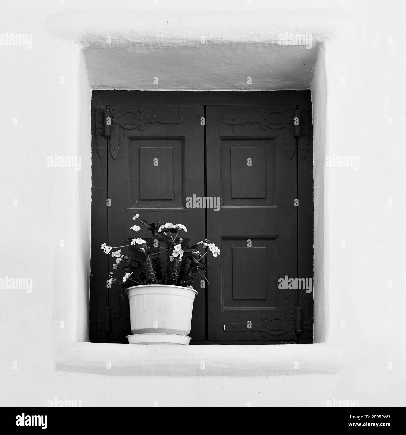 Fenêtre avec fleur en pot. Grèce. Photographie en noir et blanc Banque D'Images