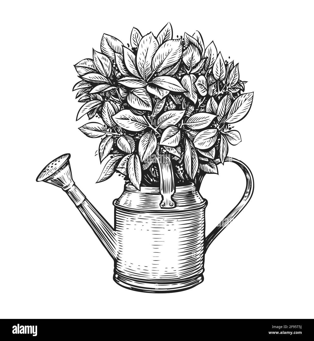 Fleurs dans un pot. Bouquet et arrosoir en style esquisse. Illustration vectorielle vintage de jardinage Illustration de Vecteur