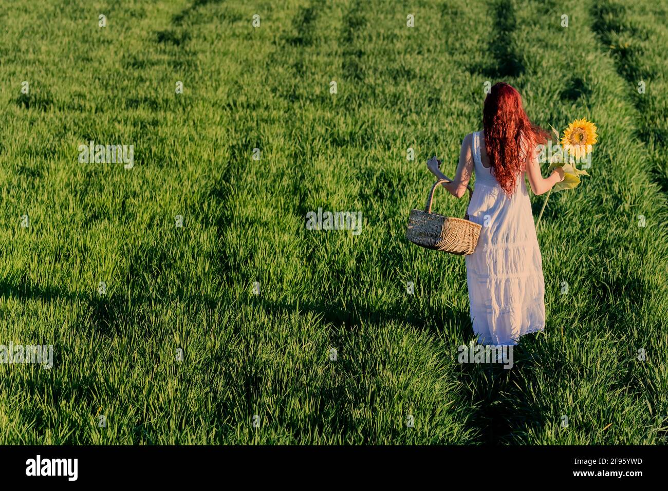 Femme vêtue de blanc avec un panier en osier et un tournesol sur l'herbe Banque D'Images