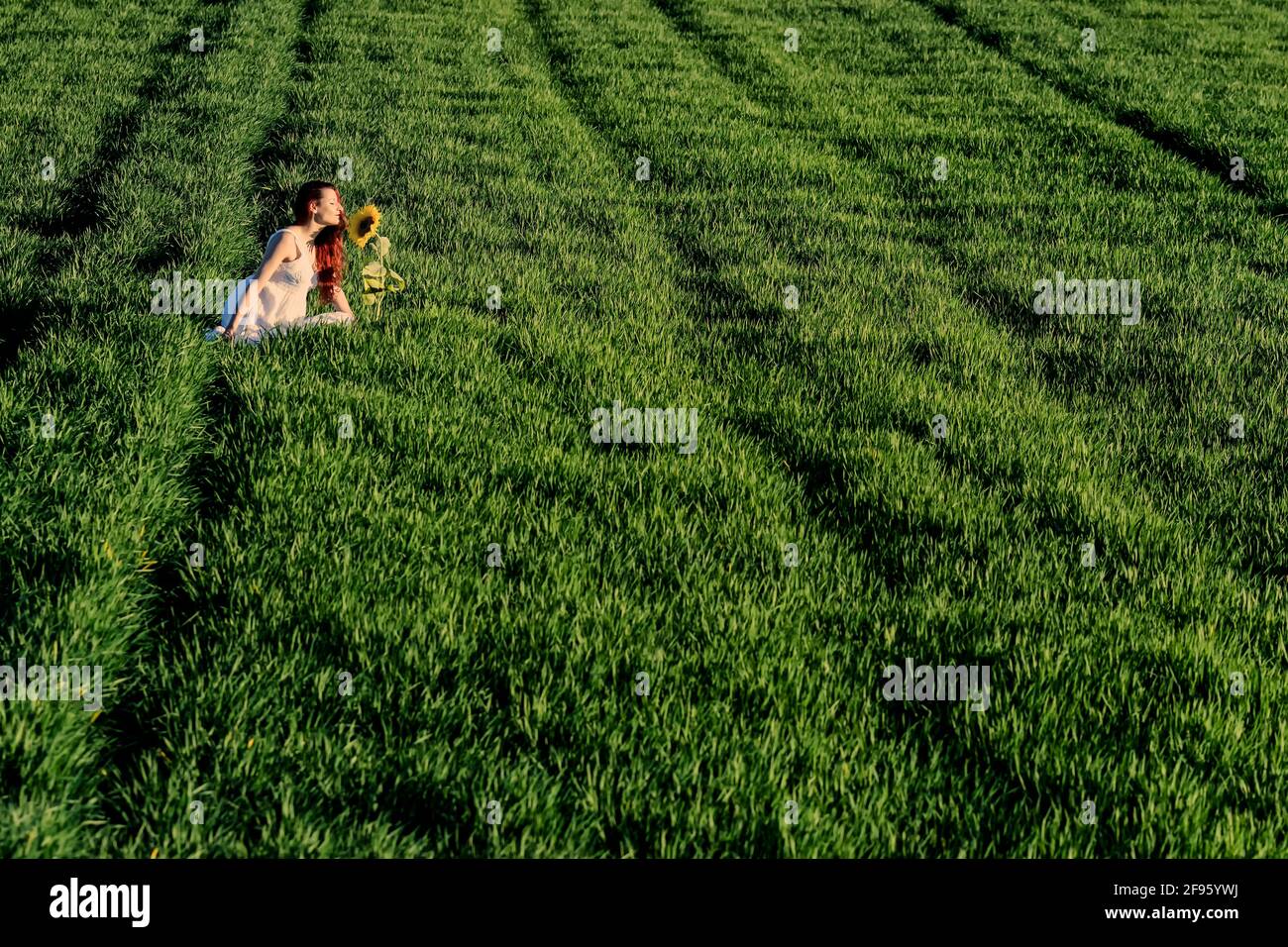 Femme sentant un tournesol isolé dans un champ de culture d'herbe Banque D'Images