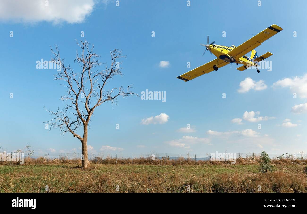 paysage solitaire arbre et avion dans le ciel bleu Banque D'Images