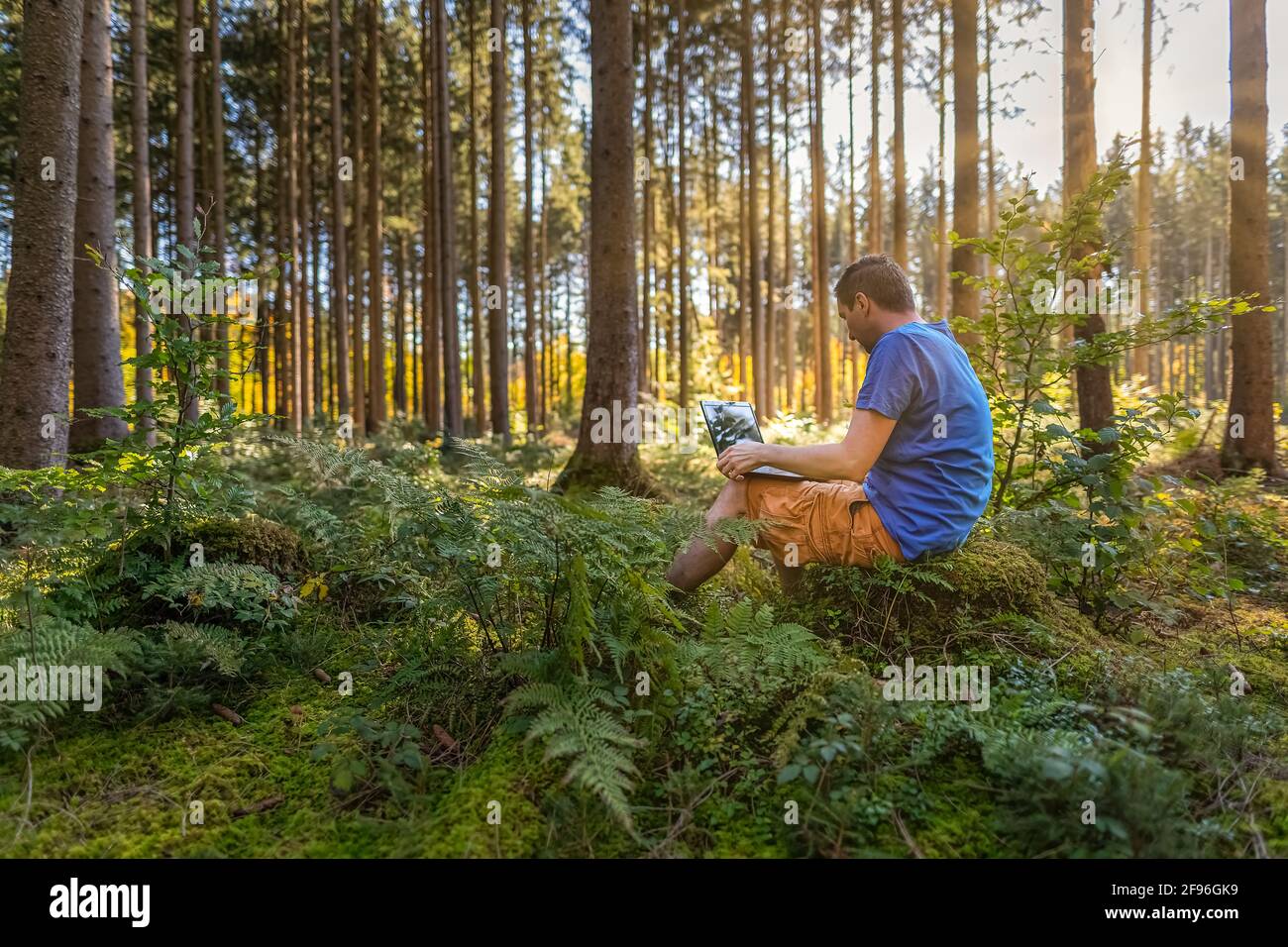 Un équilibre sain entre vie professionnelle et vie privée - un homme qui travaille avec un ordinateur portable dans une forêt verte à l'air frais dans une forêt. Banque D'Images