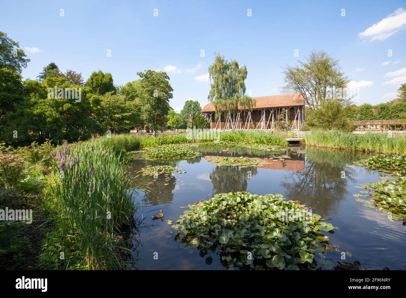 Salinenpark, Rheine Banque D'Images