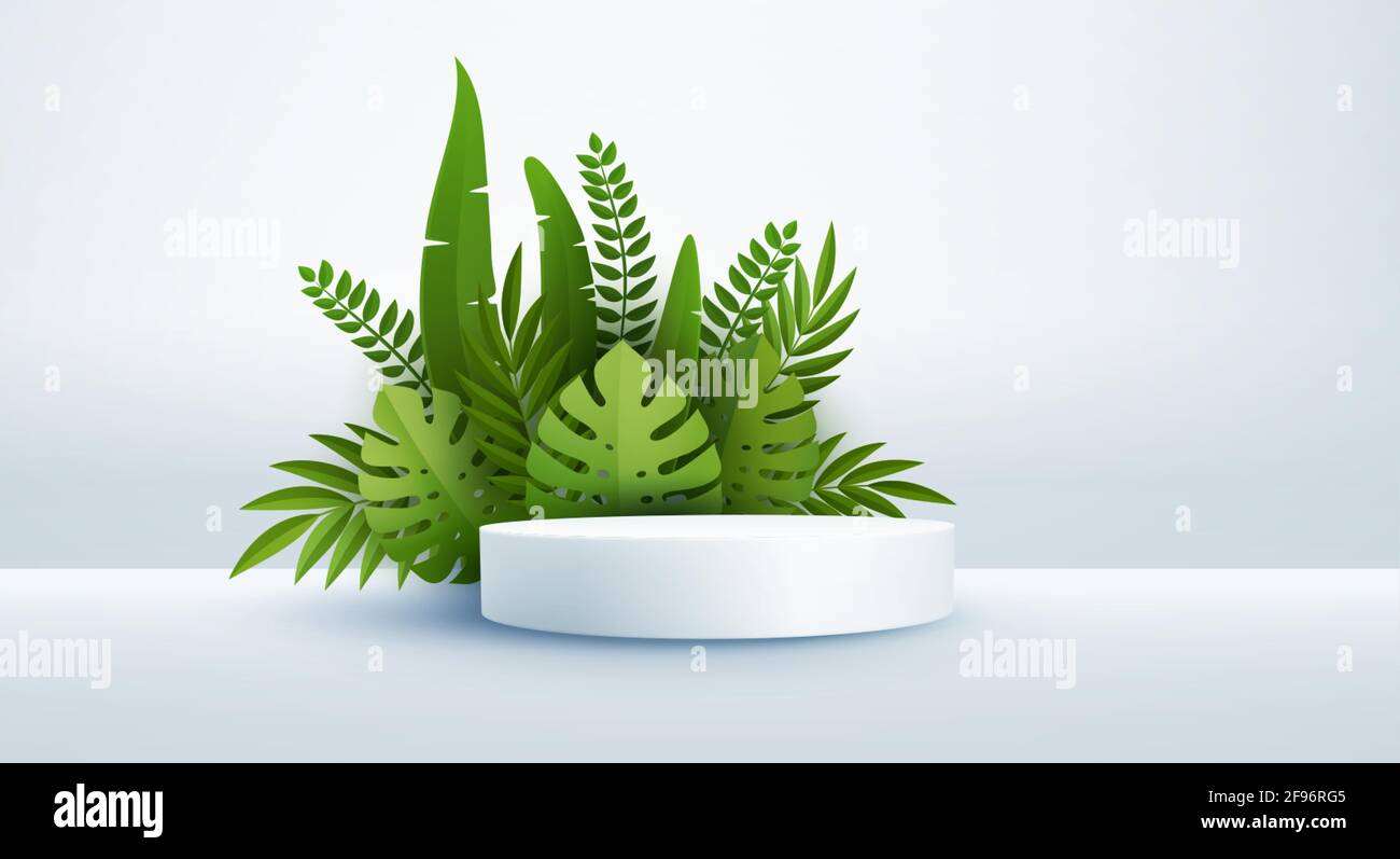 Scène blanche minimaliste avec formes géométriques et feuilles de palmier vertes. Podium cylindrique sur fond jaune. Etape 3D pour l'affichage d'un produit cosmétique Illustration de Vecteur