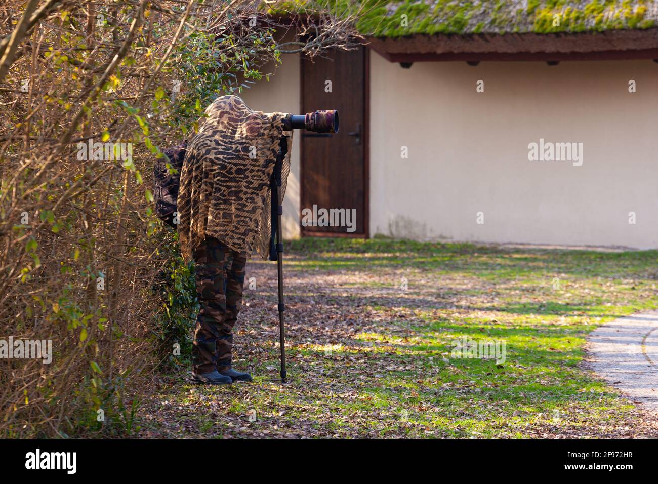 Photographe d'oiseaux portant un cape camouflage Prenez des photos avec un appareil photo et un téléobjectif, Laguna di Marano Banque D'Images