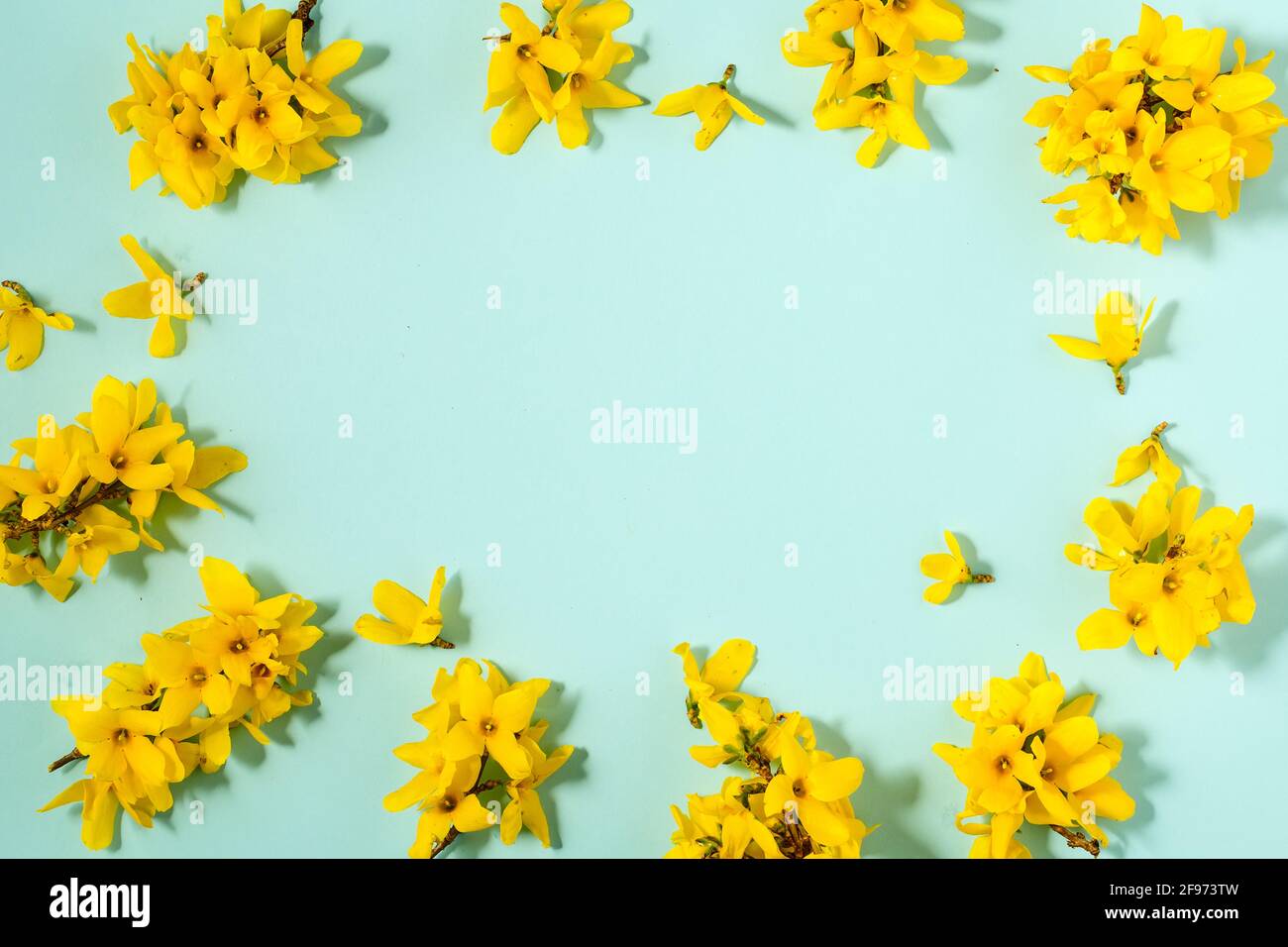 Motif avec fleurs jaunes fraîches sur fond pastel. Banque D'Images