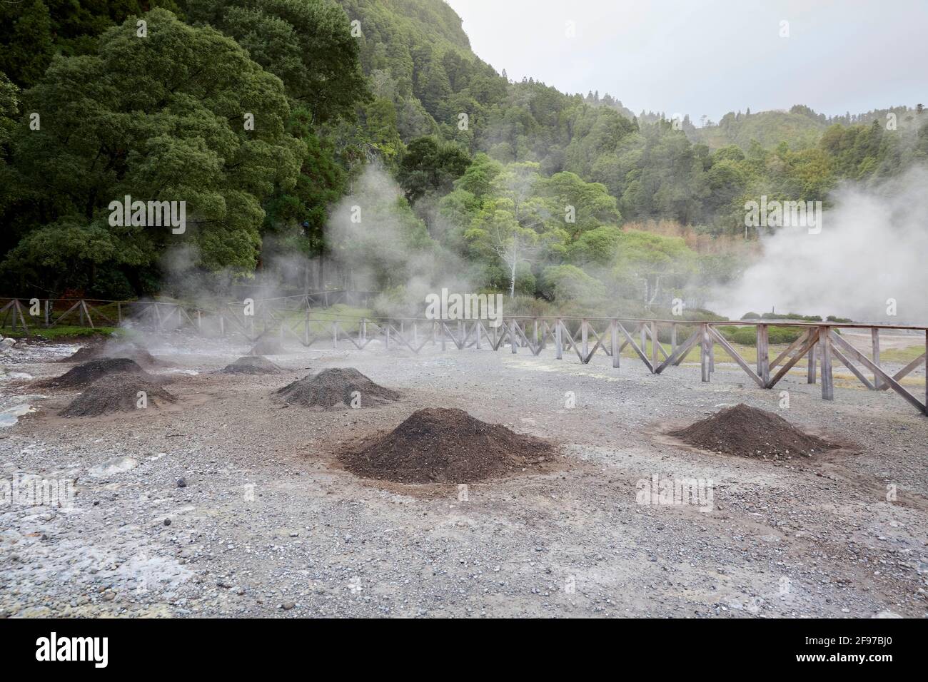 Fumarolas da Lagoa das Furnas, cozido das Furnas sur l'île de Sao Miguel, dans les Açores, au Portugal Banque D'Images