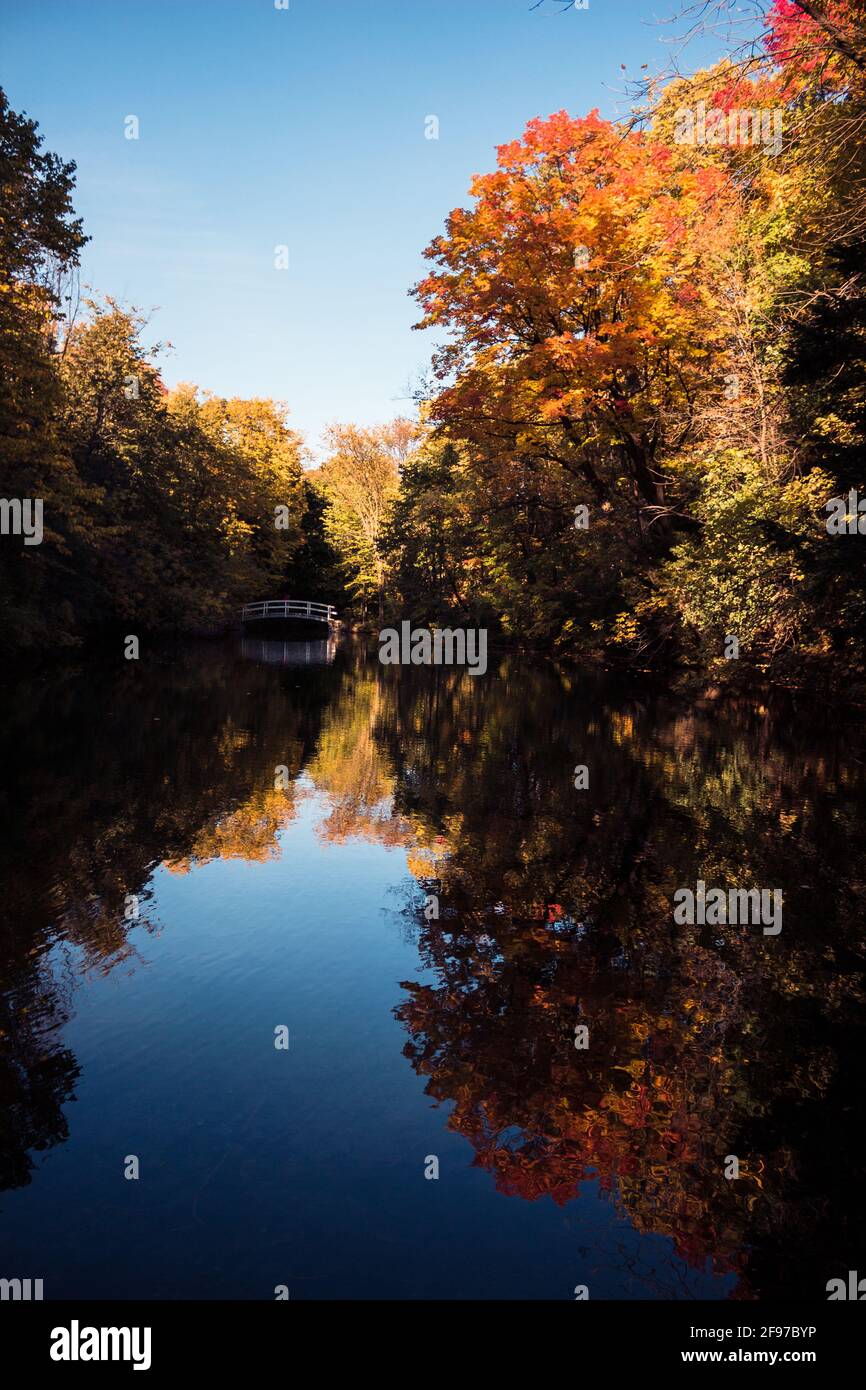 Un lac calme entouré d'arbres aux couleurs du début de l'automne avec un court pont blanc traversant un lac. Prise au parc Jean-drapeau de Montréal, à Montreua Banque D'Images