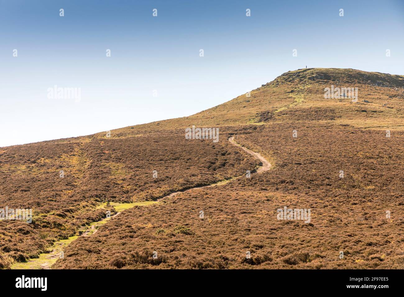 Bruyère et lande séchées sur le côté nord de la montagne du pain de sucre avec une personne au sommet, pays de Galles, Royaume-Uni Banque D'Images