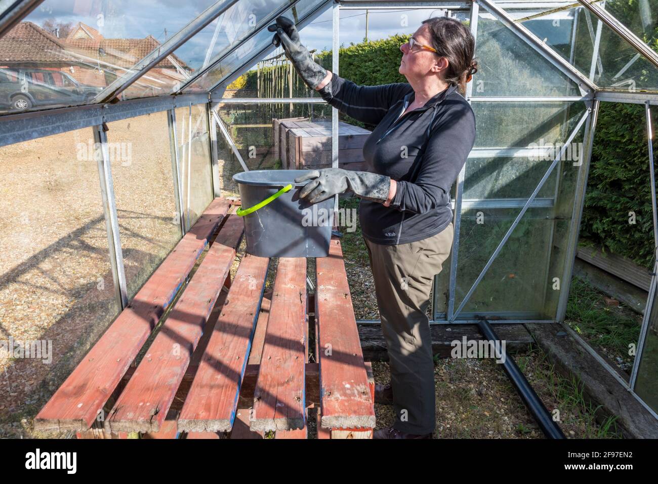 Femme en train de rénover une vieille serre. Laver, nettoyer et désinfecter le verre pour éliminer les algues avant le début d'une nouvelle saison de croissance. Banque D'Images