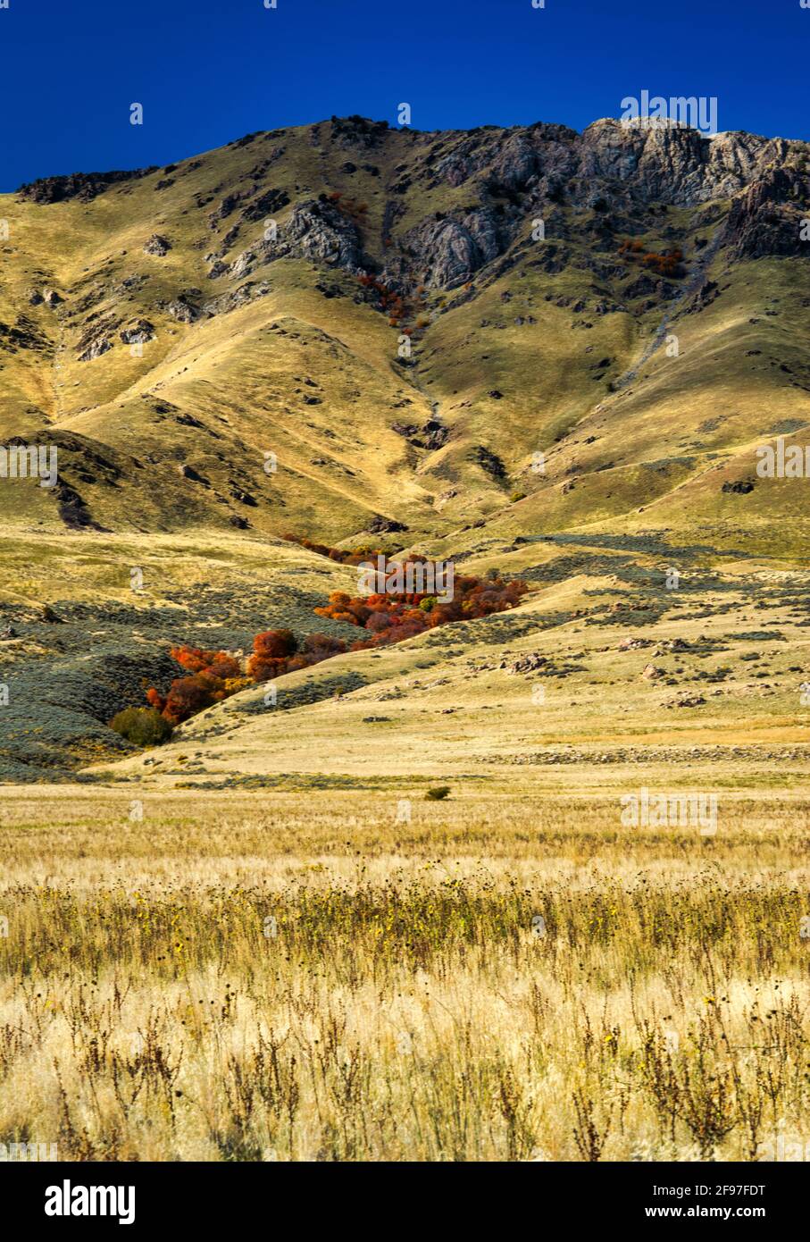 Antelope Island State Park, Salt Lake City, Utah, États-Unis, Amérique Banque D'Images