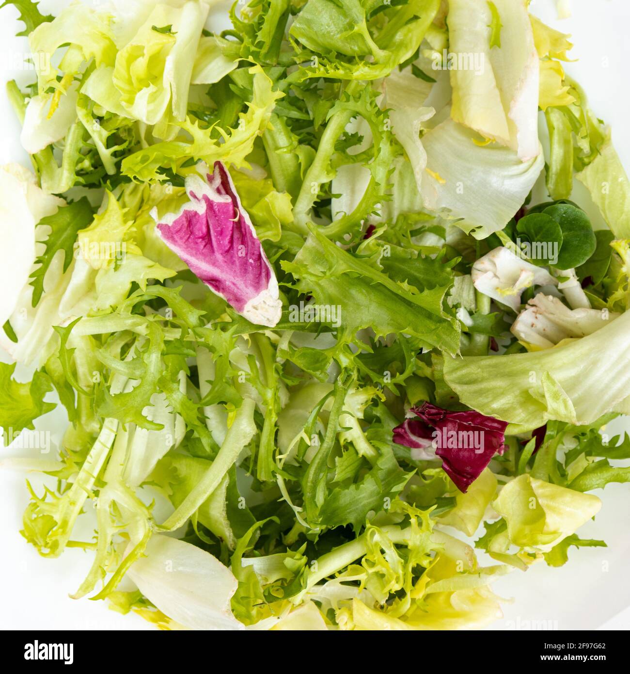Tas De Feuilles De Salade Fraiche Sur Fond Blanc Pile De Feuilles De Bebe D Endive Arugula Roquette Et Laitue Gros Plan Photo Stock Alamy