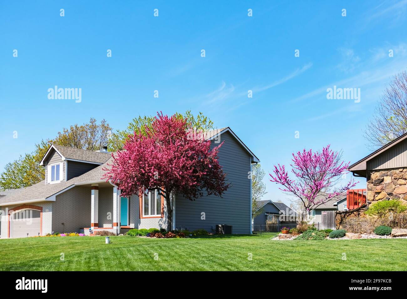 Écrevisse à fleurs, Malus Prairiefire ou Malus Prairifire, devant une maison avec pelouse verte et ciel bleu. Banque D'Images