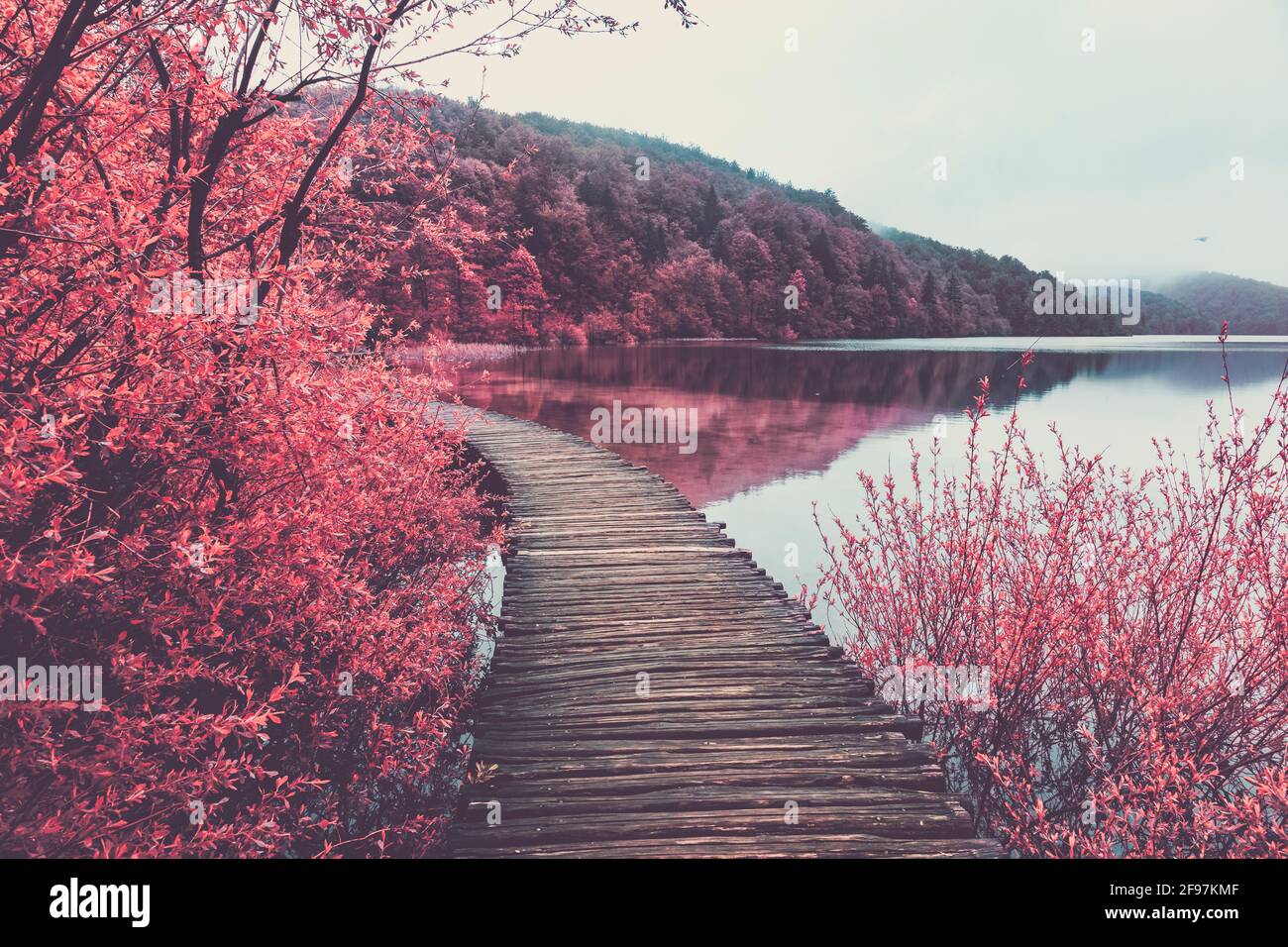 Beaucoup d'eau, de feuilles rouges et une nature à couper le souffle dans le parc national des lacs de Plitvice en Croatie. L'image est manipulée en couleur. Banque D'Images