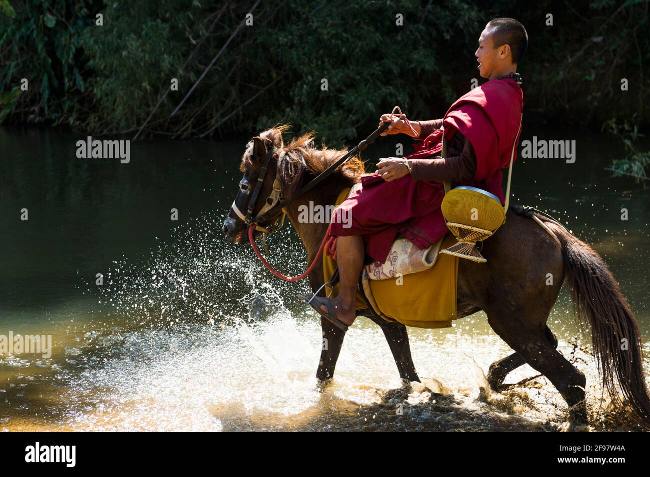 Thaïlande, Chiang Rai, temple Wat Tham PAA / Wat Phra Archa Thong (temple du cheval doré), moine, équitation, Banque D'Images