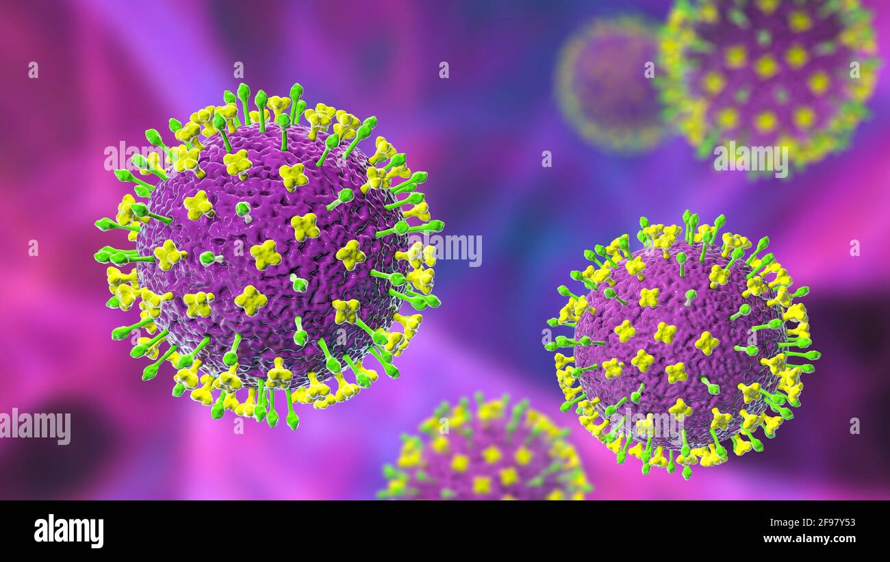 Particules du virus Nipah, illustration Banque D'Images