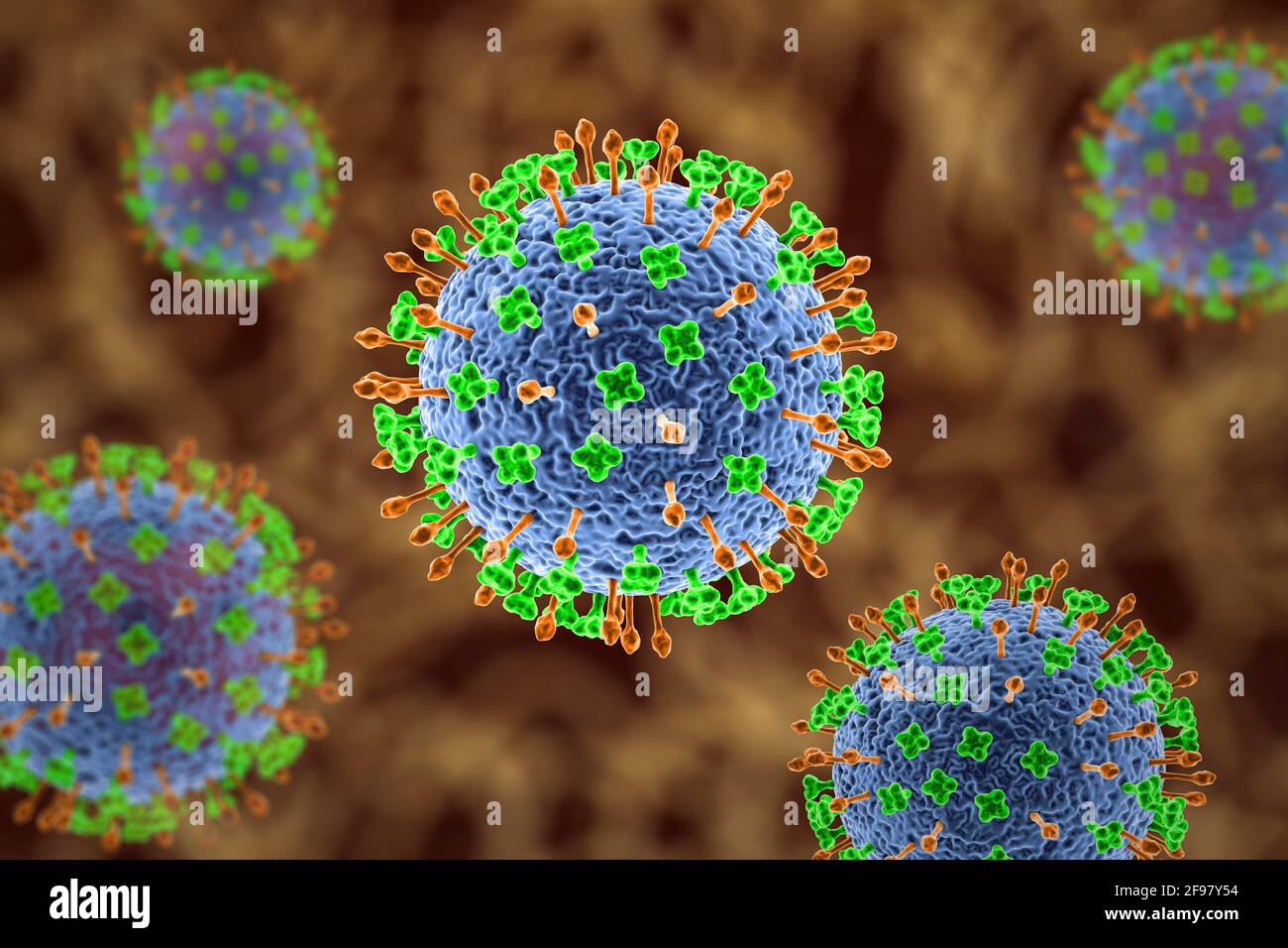 Particules du virus Nipah, illustration Banque D'Images