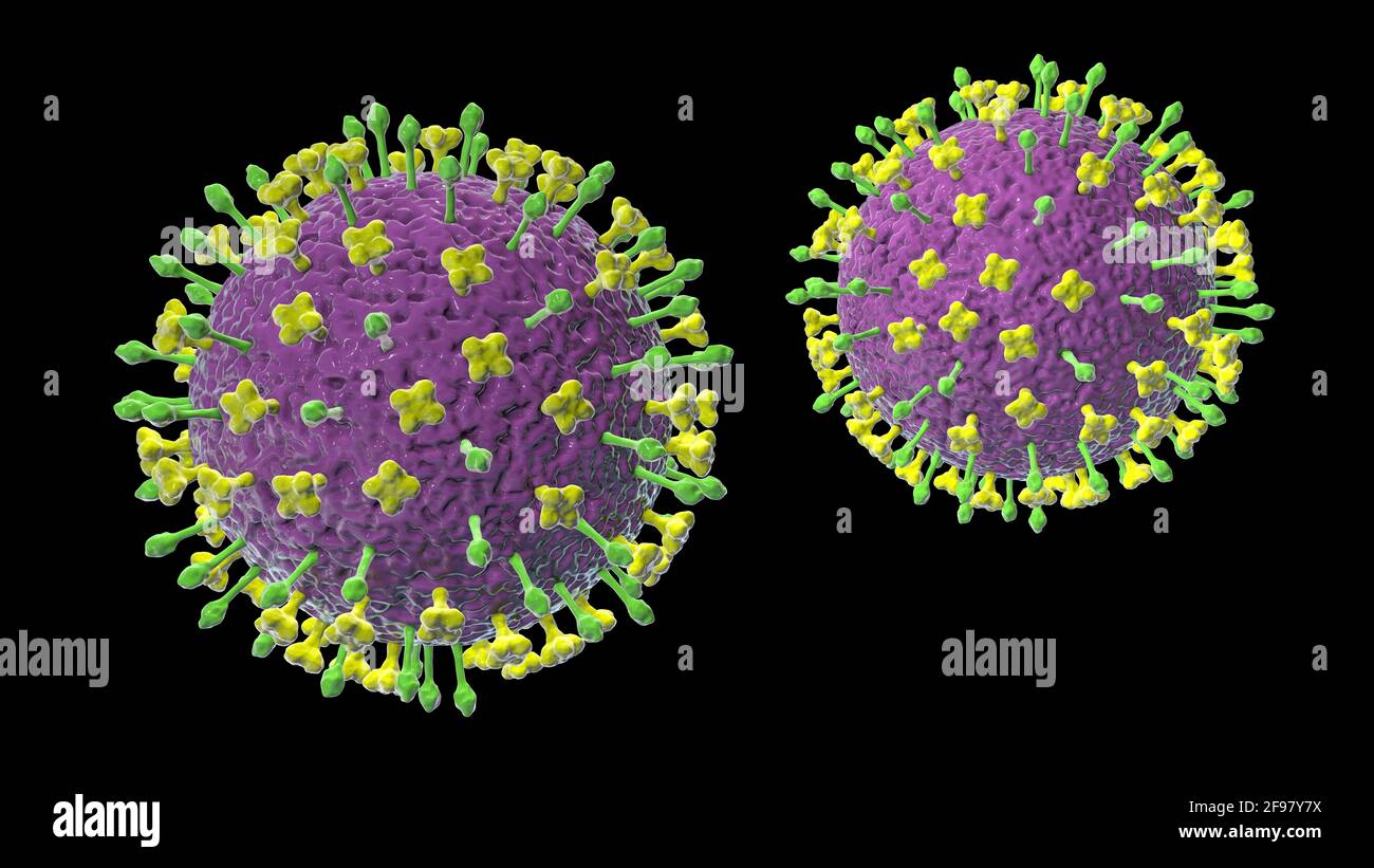 Particules du virus Nipah, illustration Banque D'Images