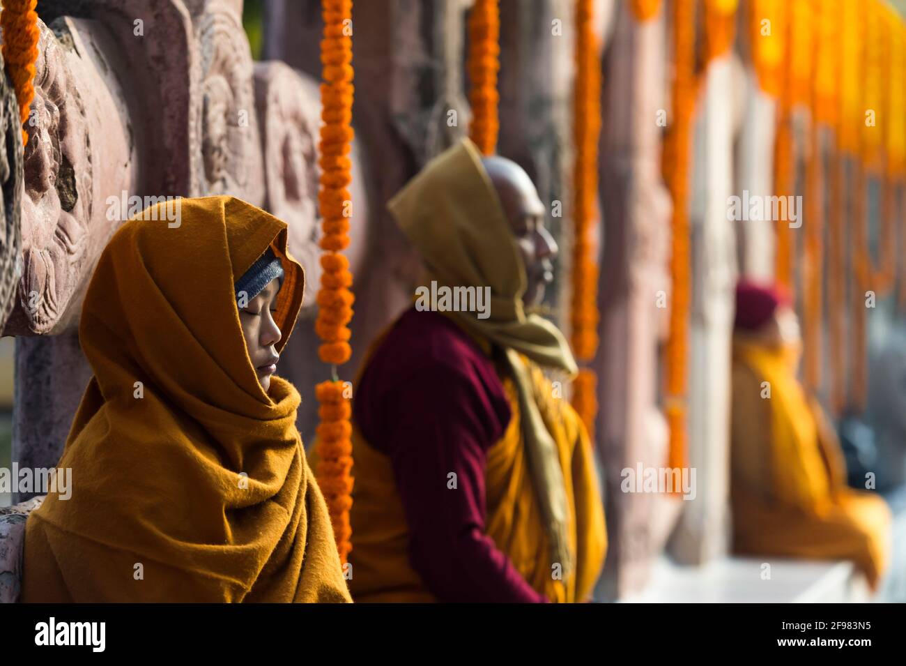 Inde, Bodhgaya, scènes au temple de Mahabodhi, les croyants méditent Banque D'Images